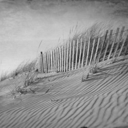 The Dunes In Black and White