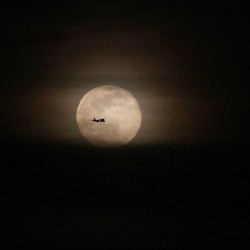 Fly Me To The Moon