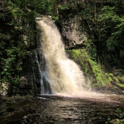 Bushkill Falls 