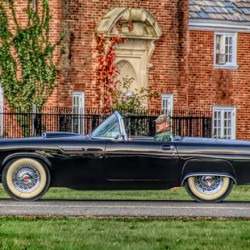 A Man And His T Bird