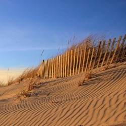 Dunes At Shinnecock Inlet