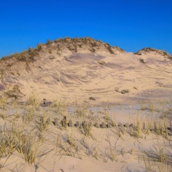 Dunes Reaching For The Sky