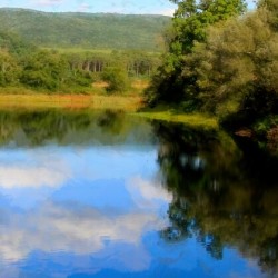 East Branch Of Delaware River