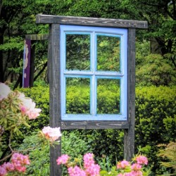 The Garden Window