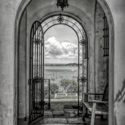 Arched Gate In B&W