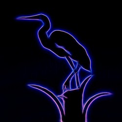 Neon Silhouette Of An Egret