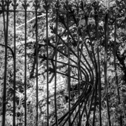 Iron Fence
