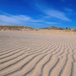 Man On The Dunes