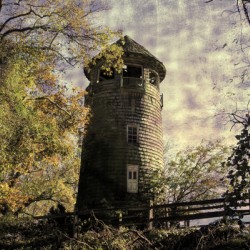 Rapunzels Summer Home