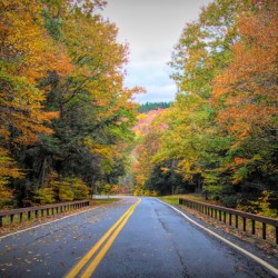Road Along The Neversink Reservoir