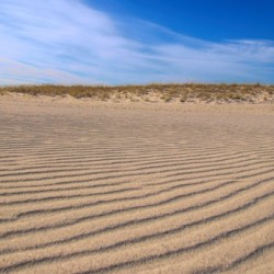 Sand Ripples At Cupsogue Beach
