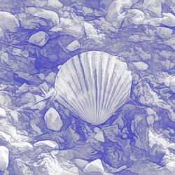 Scallop Shell On Blue and White