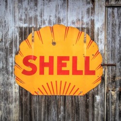 Shell On A Shed