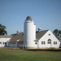 Silo At the Milking Barn