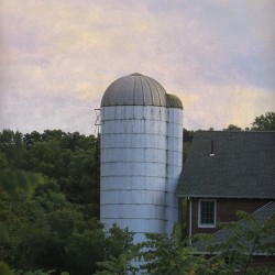 Silos Just Above The Trees