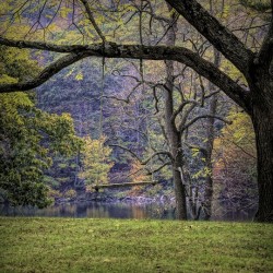 Swinging Into Autumn Edit