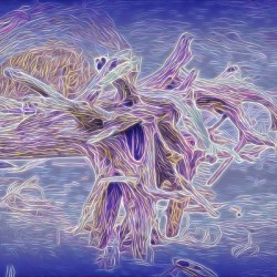 The Weather Creature