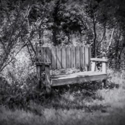 Tranquil Thinking Spot