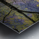 Swinging Into Autumn Edit Metal print