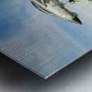 F-14 Tomcat Metal print