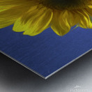 Sunflower And The Sky Impression metal