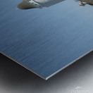 Silo At the Milking Barn Metal print