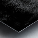 Slender Horned Gazelles In B&W Metal print