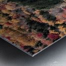 Neversink Head House In Autumn Impression metal