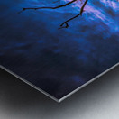 A Sunset Snag Metal print