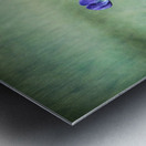 Bee Flying To A Purple Flower Impression metal