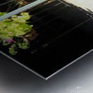 Greenport Street Musician Metal print