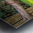 Horseshoe Fence Metal print