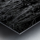 Mirror Reflection Of A Bittern Metal print