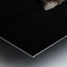 Lady Oscar Metal print