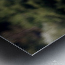 The Lookout Metal print