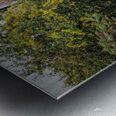 Forgotten Shed  Impression metal