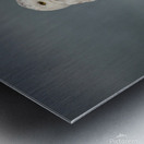 Fog and Snowy Metal print