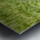 Awesome Landing Impression metal