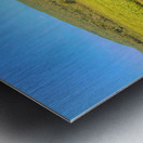 Basha Kill Metal print