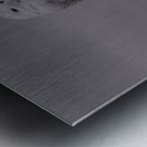 Snow In The Fog Metal print