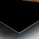 Ollie Giraffe Impression metal