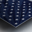 Soldier s Breath  Metal print