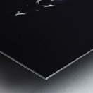 Vietnam Memorial Suffolk Count NY Metal print