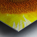 Fibonaccis Spiral  Metal print