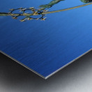 Rocket Thrower Metal print