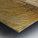 Golden Light On The Dune Impression metal