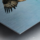 Osprey Taking Flight Metal print