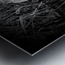 Bittern Reflection In Black and White Metal print