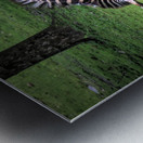 Sleeping While Standing Metal print