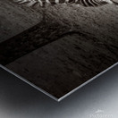 Sleeping While Standing In Black and White Metal print